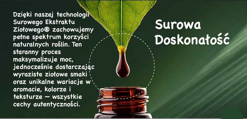 ELDERBERRY & ECHINACEA - SUROWY EKOLOGICZNY EKSTRAKT ZIOŁOWY Jeżówki i Czarnego Bzu - wspomaganie odporności