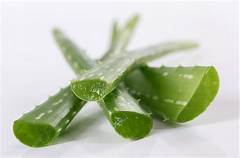 ALOE VERA TACHIONIZOWANY ŻEL